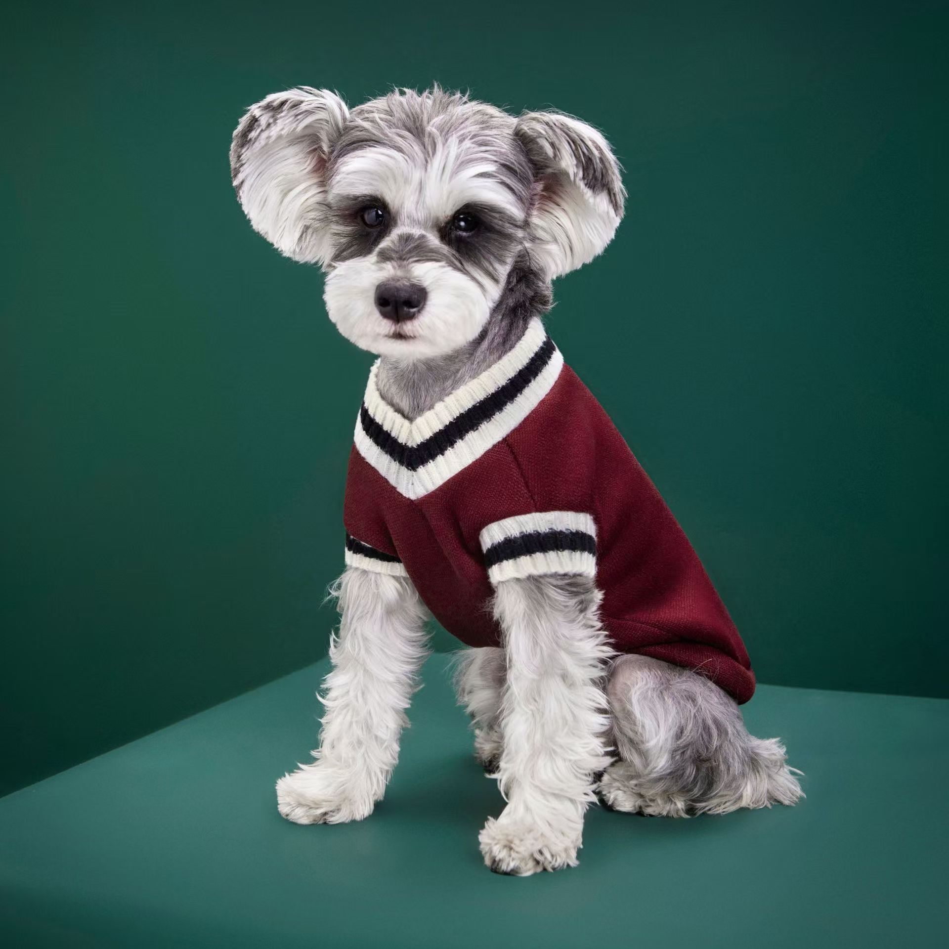 Dog Clothing Manufacturer Whol - Winter Clothing Manufacturers recension och pris