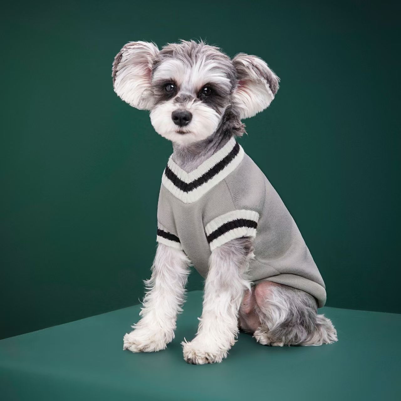 Dog Clothing Manufacturer Whol - Winter Clothing Manufacturers recension och pris