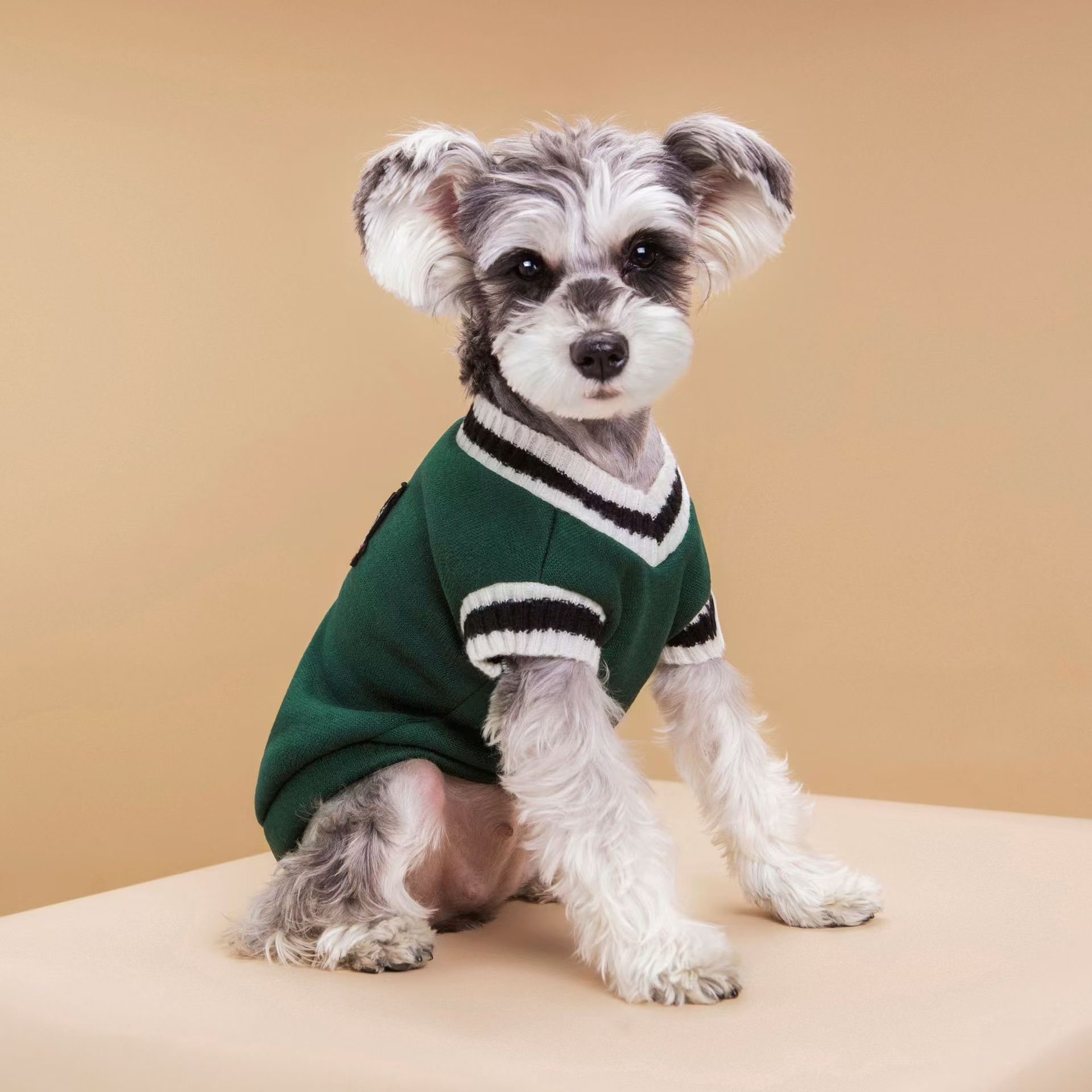 Dog Clothing Manufacturer Whol - Winter Clothing Manufacturers recension och pris