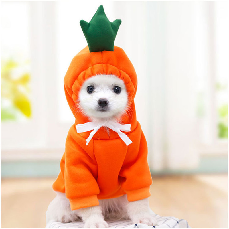 Cute Fruit Dog Clothes for Sma - Winter Clothing Pictures recension och pris
