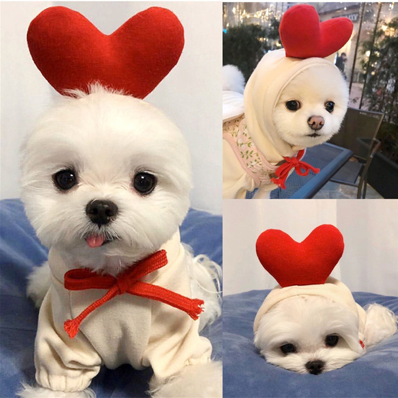 Cute Fruit Dog Clothes for Sma - Winter Clothing Pictures recension och pris